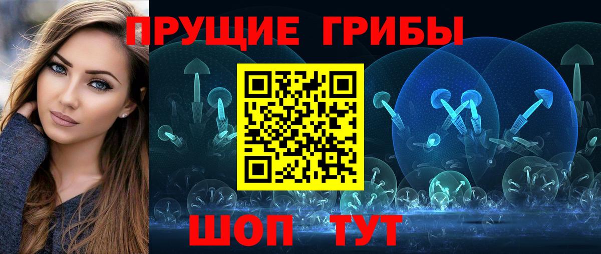 Галлюциногенные грибы Psilocybe Канаш